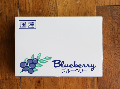 【予約販売受付中】農薬不使用仙台市秋保産生ブルーベリー合計480g/化粧箱冷蔵配送